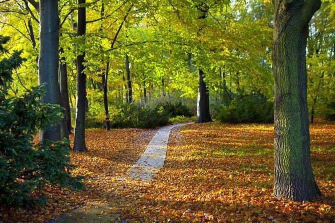 3-Hour Private Bike Tour of Tiergarten and Berlins Hidden Places - Just The Basics