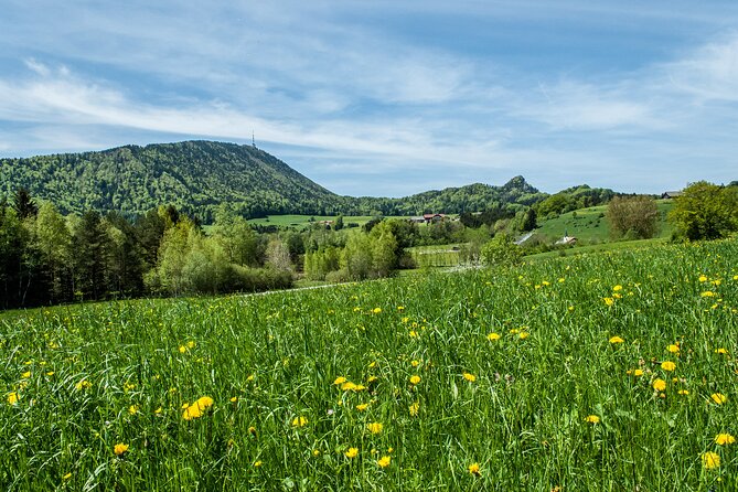 Private Tour to Salzburg for River Cruise Passengers – Passau or Linz