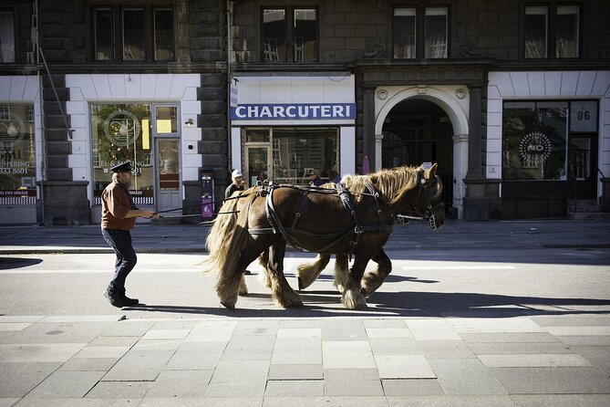 Private Transfer From Hamburg to Copenhagen - Accessibility Information