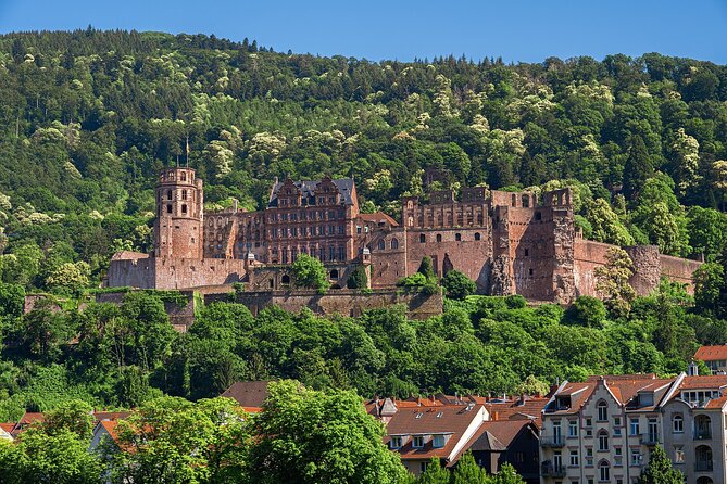 Touristic Highlights of Heidelberg on a Private Half Day Tour With a Local - Philosophers Walk Scenic Route