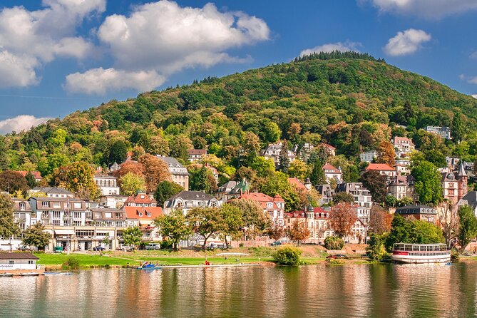 Touristic Highlights of Heidelberg on a Private Half Day Tour With a Local - Local Cuisine Tasting