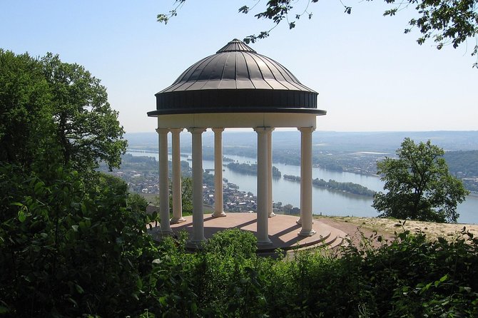 Excursion From Frankfurt to Rüdesheim - Half Day - Booking Information