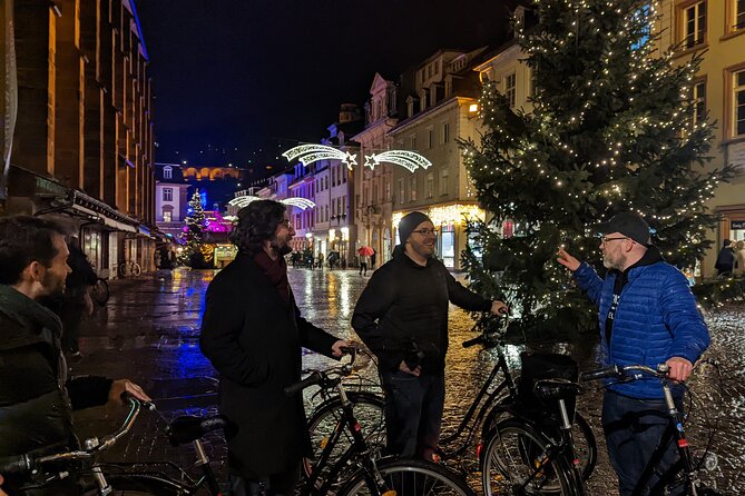 Winter Vibes Bike Tour in Heidelberg - Just The Basics